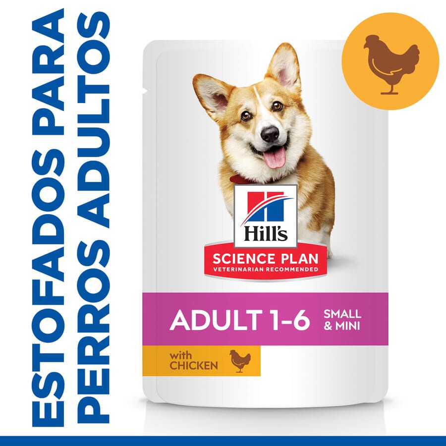12 sobres x 80 g Hill's Science Plan Adult Small & Mini Estofado de Pollo Sobres para perros &iexcl;Pack ahorro!, , large Imagen numero 1